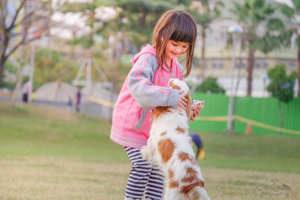 most friendly dog breeds for children