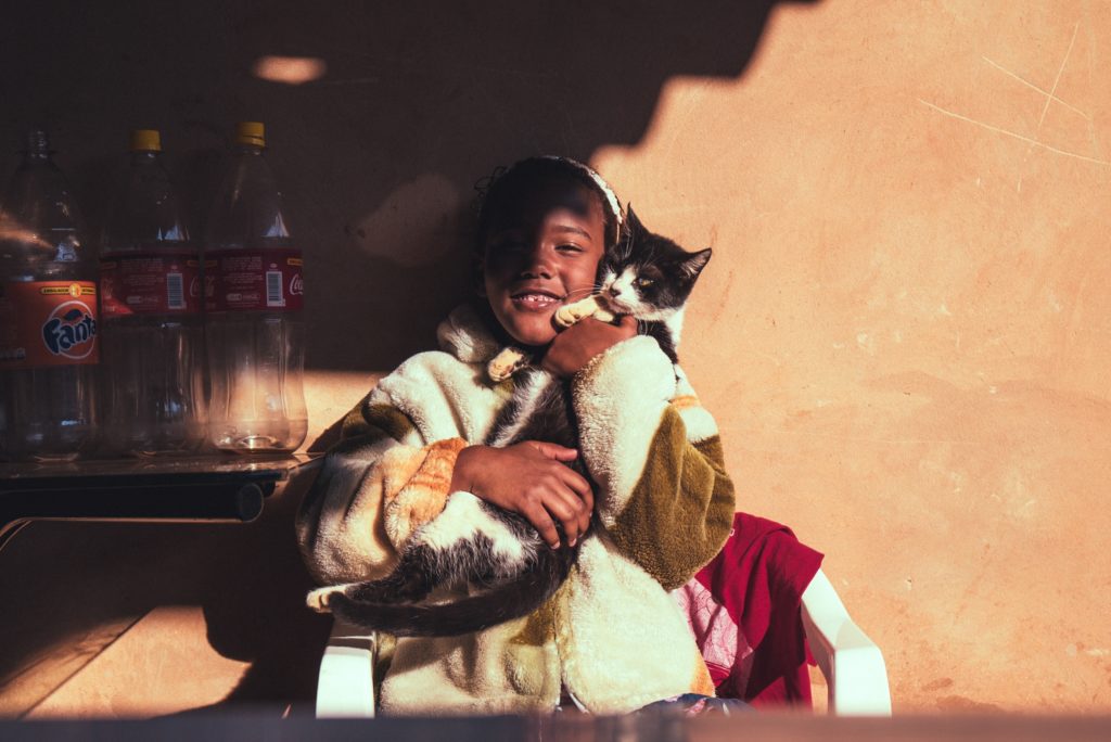 pets that are perfect for kids