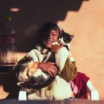 pets that are perfect for kids