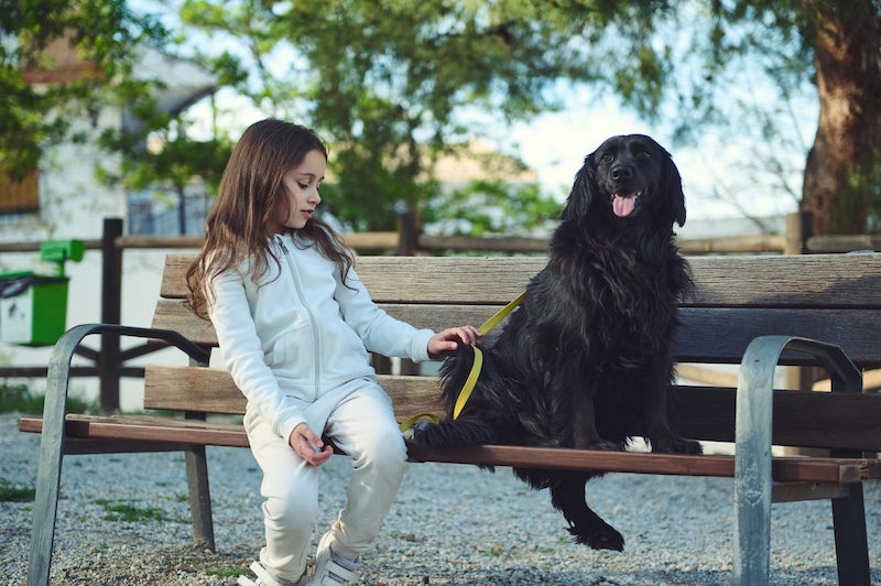 little girl with dog