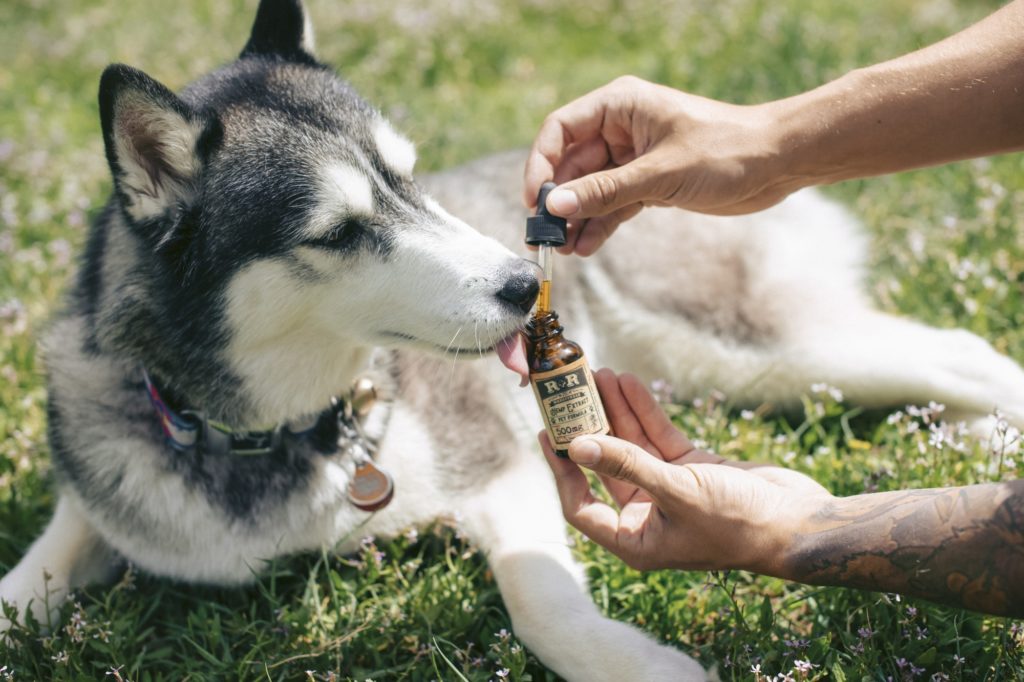 pet tincture