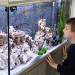 best aquarium fish for beginners