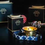 pet cremation
