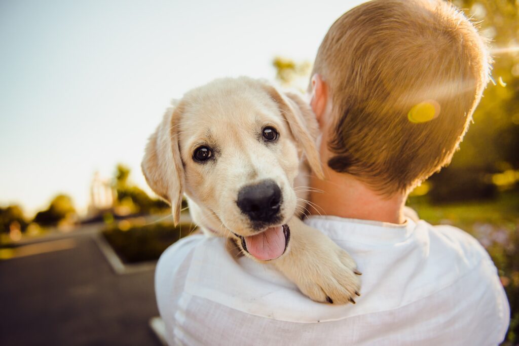 best pets