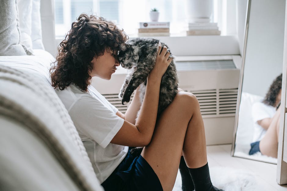 adopting a cat