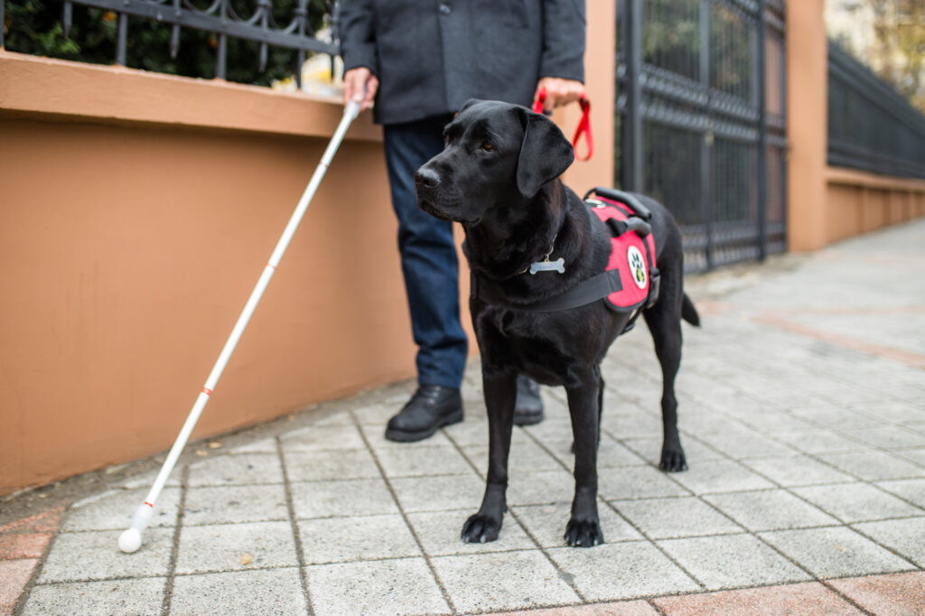 working dogs