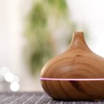 scent diffusers and pets