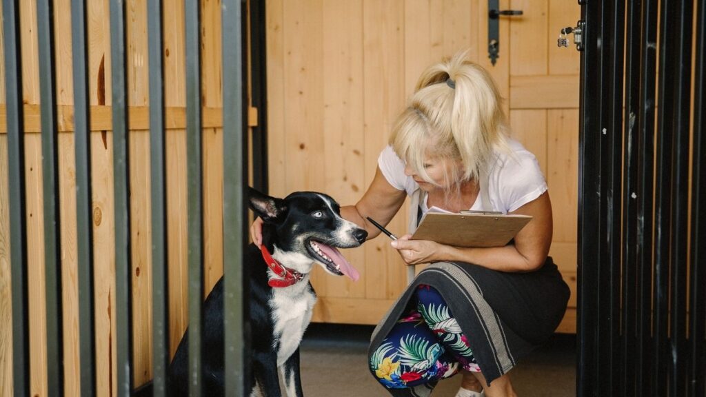 how to prepare dog for boarding