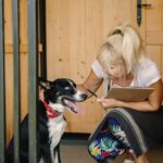 how to prepare dog for boarding