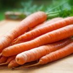 can gerbils eat carrots