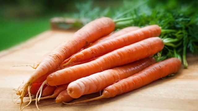 can gerbils eat carrots