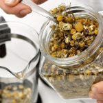 can dogs drink chamomile tea