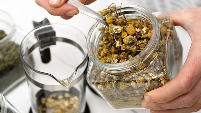 can dogs drink chamomile tea
