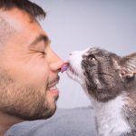 cat kissing man's nose