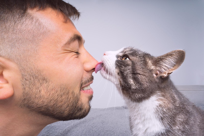 cat kissing man's nose