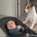 dog and baby