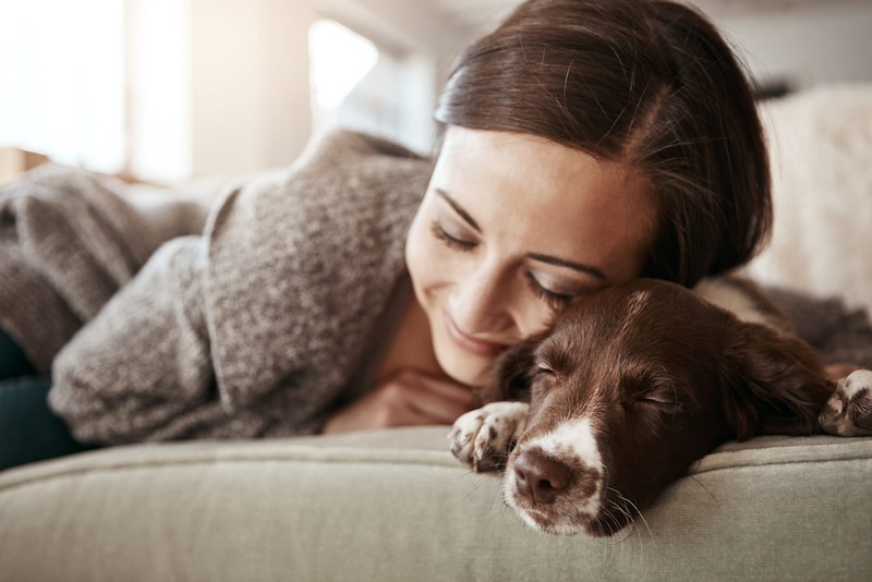 dog bond