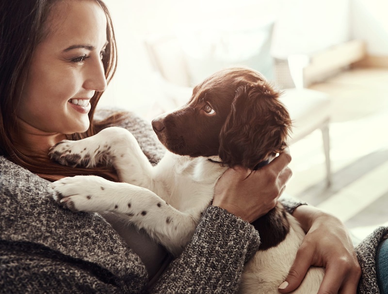 dog with owner