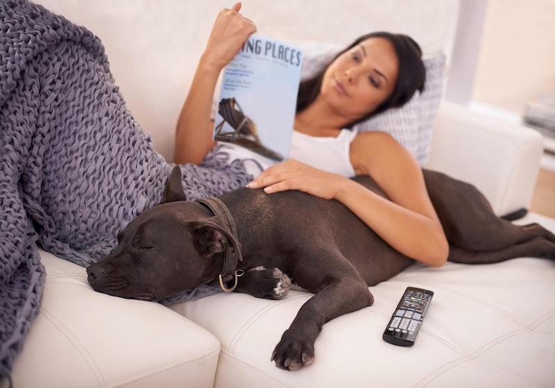 dog sleeping near woman