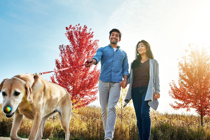 dog with couple
