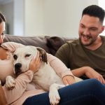 dog with family