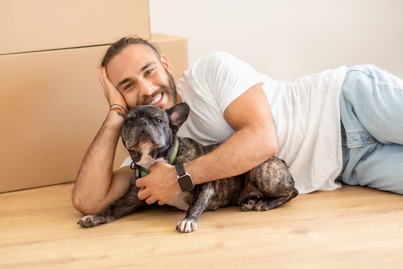 french bulldog