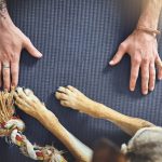 human hand next to dog paws