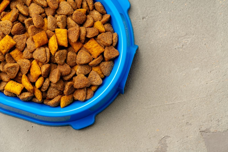 bowl of dog kibble