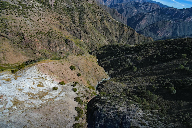 Chihuahua Mexico