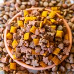 orange dog food