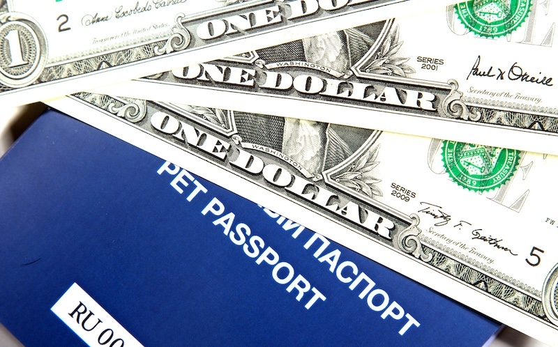 pet passport