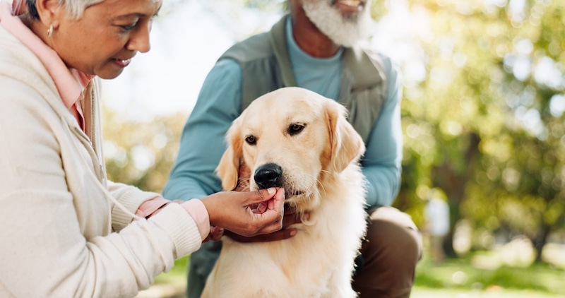 senior couple with dog