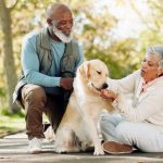 senior couple with dog