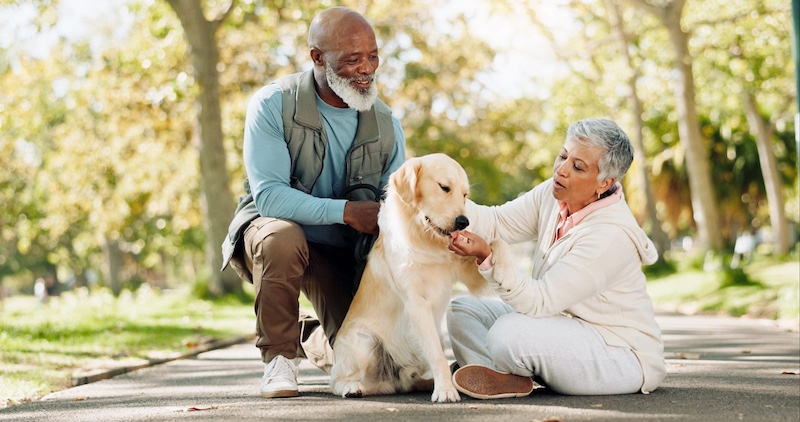 senior couple with dog